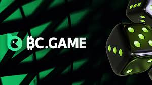 Complete Guide to BC.Game Registration -637769433