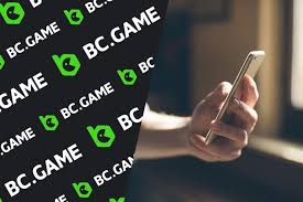 Maximize Your Winnings A Comprehensive Guide to BC.Game Bonuses