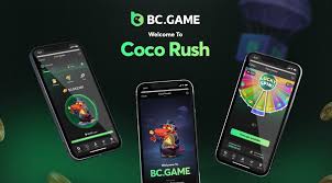 Unlocking Fun and Fortune The BC.Game Hub Experience